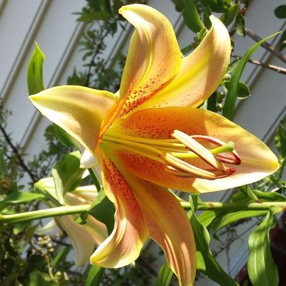 Studio4950's profile picture. Art & Design Studio