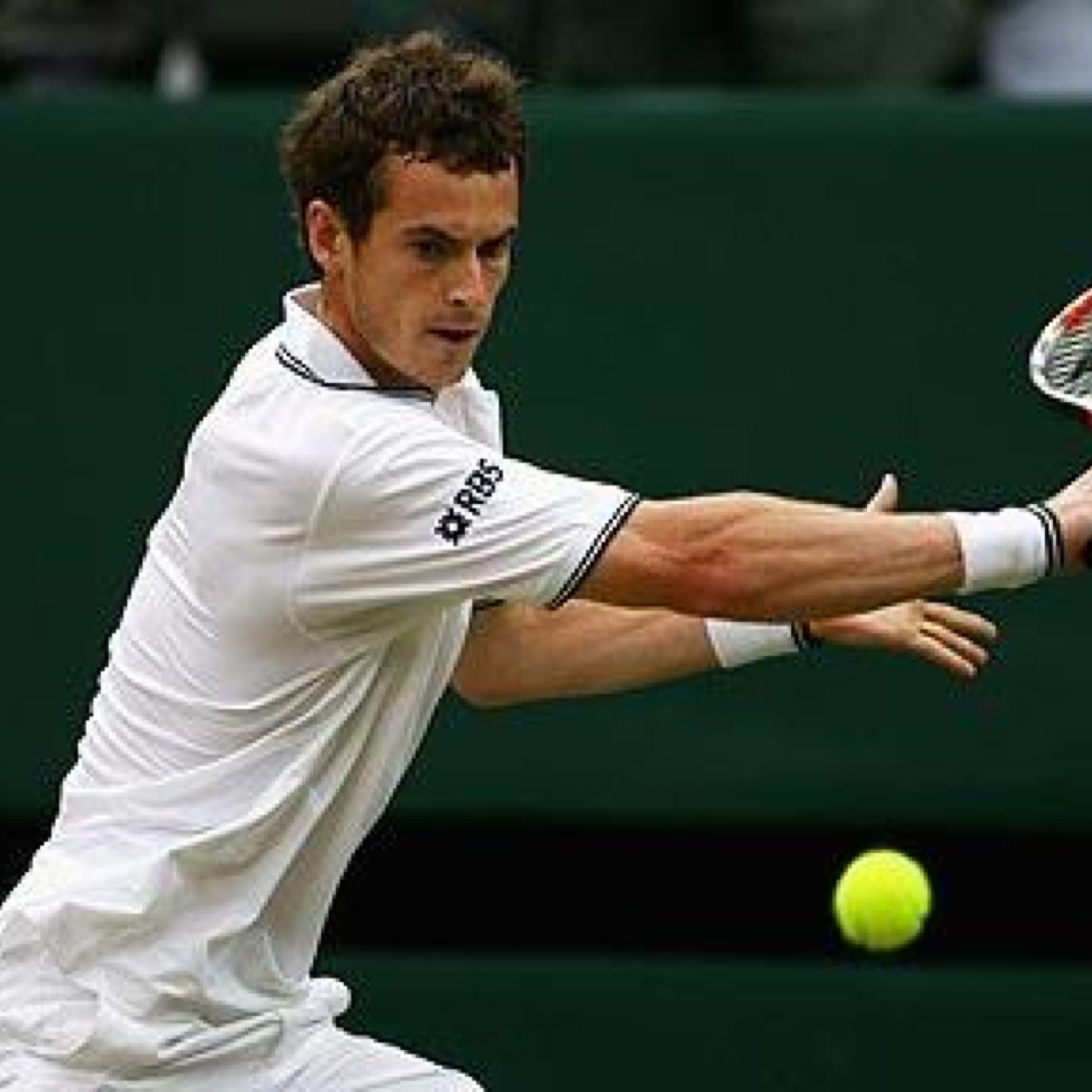 LiveBettingTips's profile picture. 