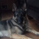 Tina gamache - @gamache_tina - Twitter