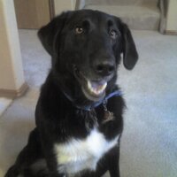 Allan Reynolds (@genxgeekdad) 's Twitter Profile Photo