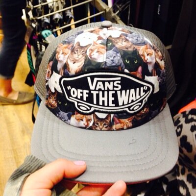 BitBits's profile picture. 