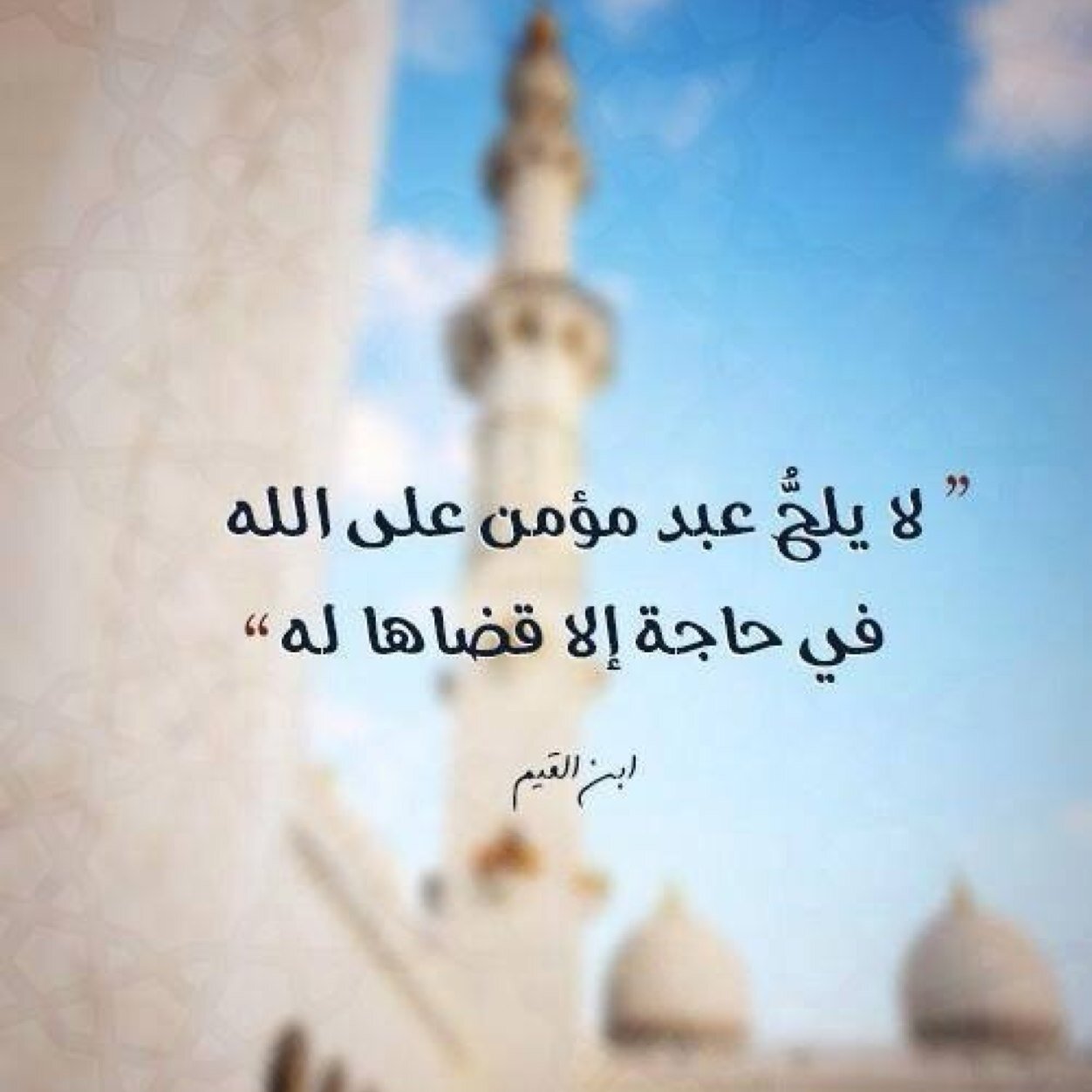 Sonnenschein_14's profile picture. INFJ | HSP/HSS | Capricorn Aquarius Cusp| INFINITE | Novelty ~ Freedom ~ Ambition ~ Growth ~ Intimacy ~ Connection ~ Warmth |