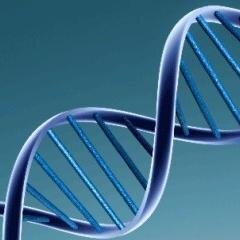 Human Genome Knowledge, Technology & Culture