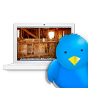 Dwight Hanson - @dwighthanson100 - Twitter