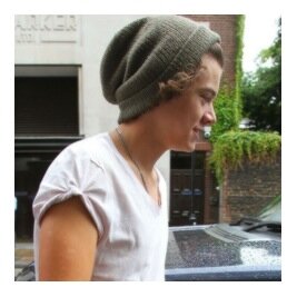 riding the rollercoaster thats harrys genitals