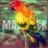 MaverickParrot's profile image