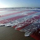 Dylan Maskell - @dylan_maskell - Twitter