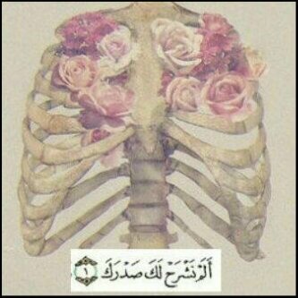 Trying the new phases of life and heading towards my future goals♥ .