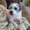 Caleb Gurley - @gurley_caleb - Twitter