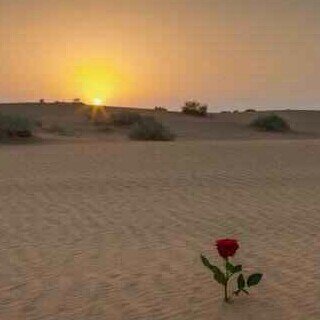 لو لاكك قلي وش انا عايشن له ؟. ♥♍