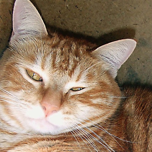 john_8088's profile picture. アニメやゲームの感想などをつぶやこうかと。最近は旅行のつぶやきが多いかも