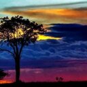 Edwin Benavides - @edwinn613 - Twitter