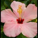 Ashley Jeffers - @AshleyJ1810 - Twitter