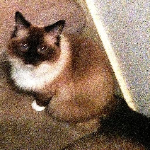 excalbr333's profile picture. 