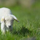 Ding Ai Hee - @AnnieDing6811 - Twitter