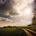 Bill Bruce - @Bill45Bruce - Twitter