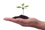 High Time To Go GREEN And Start a Shift In Our *ENERGY*