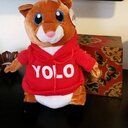 Dan Stanko - @StankoDan - Twitter