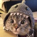 Anthony Mari Dayuja - @coccemiam - Twitter