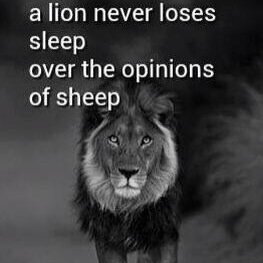 Lose Weight . Live Healthy . Live Different . Make a Difference . Defy The Odds