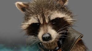 im Rocket the raccoon from Guardians of the Galaxy i kick some bad ass my buddy Groot u see us in the movies ✌ i will be on DisneyXD