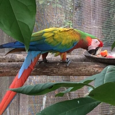 mregency's profile picture. 