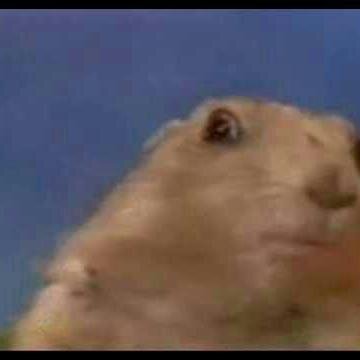 nottenrotten's profile picture. bleh bleh