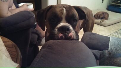 rpollard4111's profile picture. 