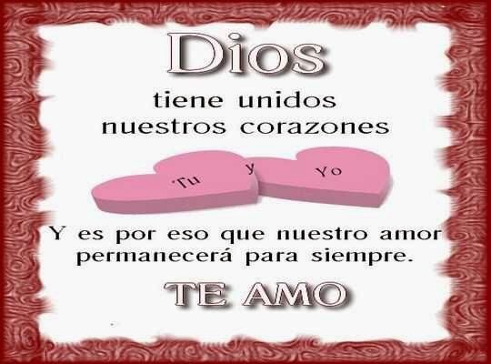 TUFLORSALVAJE1's profile picture. 