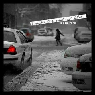 76BEC01F بني                          ايدي EGRAMY-007
