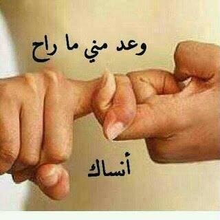 الإزعاج = بلوك انا مش ناقصني وجع رأس أوكي