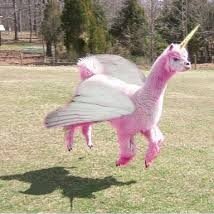 Just here to bring you joy with alpacas... NAH LLAMA NAH