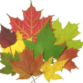 PascuaBrownell's profile picture. Devoted travel geek  # Hardcore alcohol lover  ...  Lifelong zombie aficionado ;