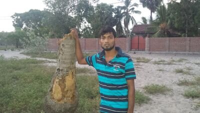 pc_niyas's profile picture. 