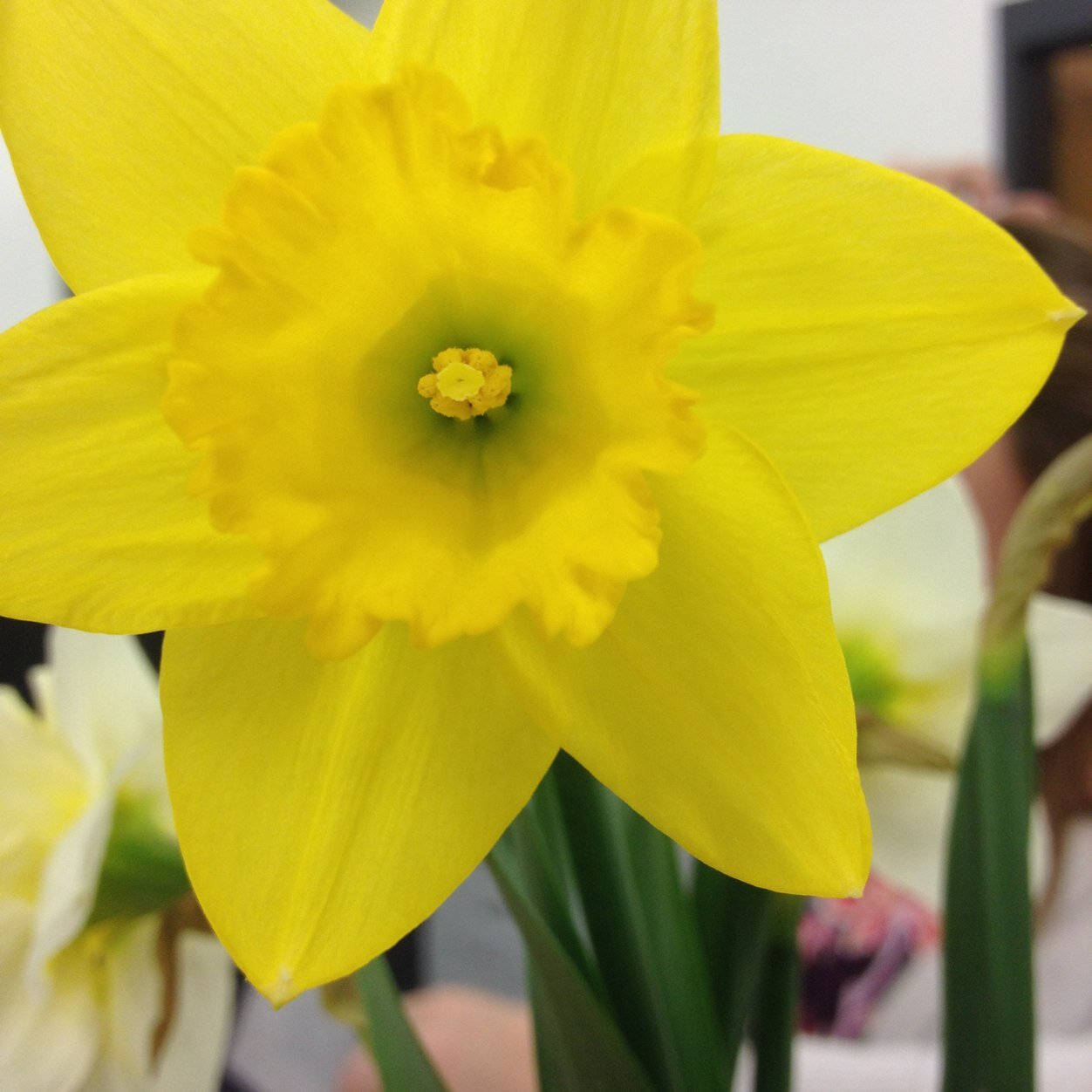 lifediffers's profile picture. Always thinking about you(: