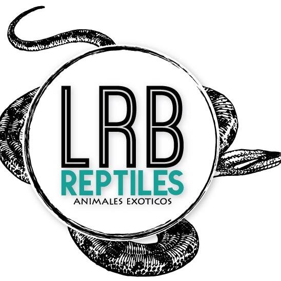 LRBReptiles's profile picture. LRB Reptiles & Animales Exóticos  cría, reproducción y venta de reptiles y anímales exóticos en México