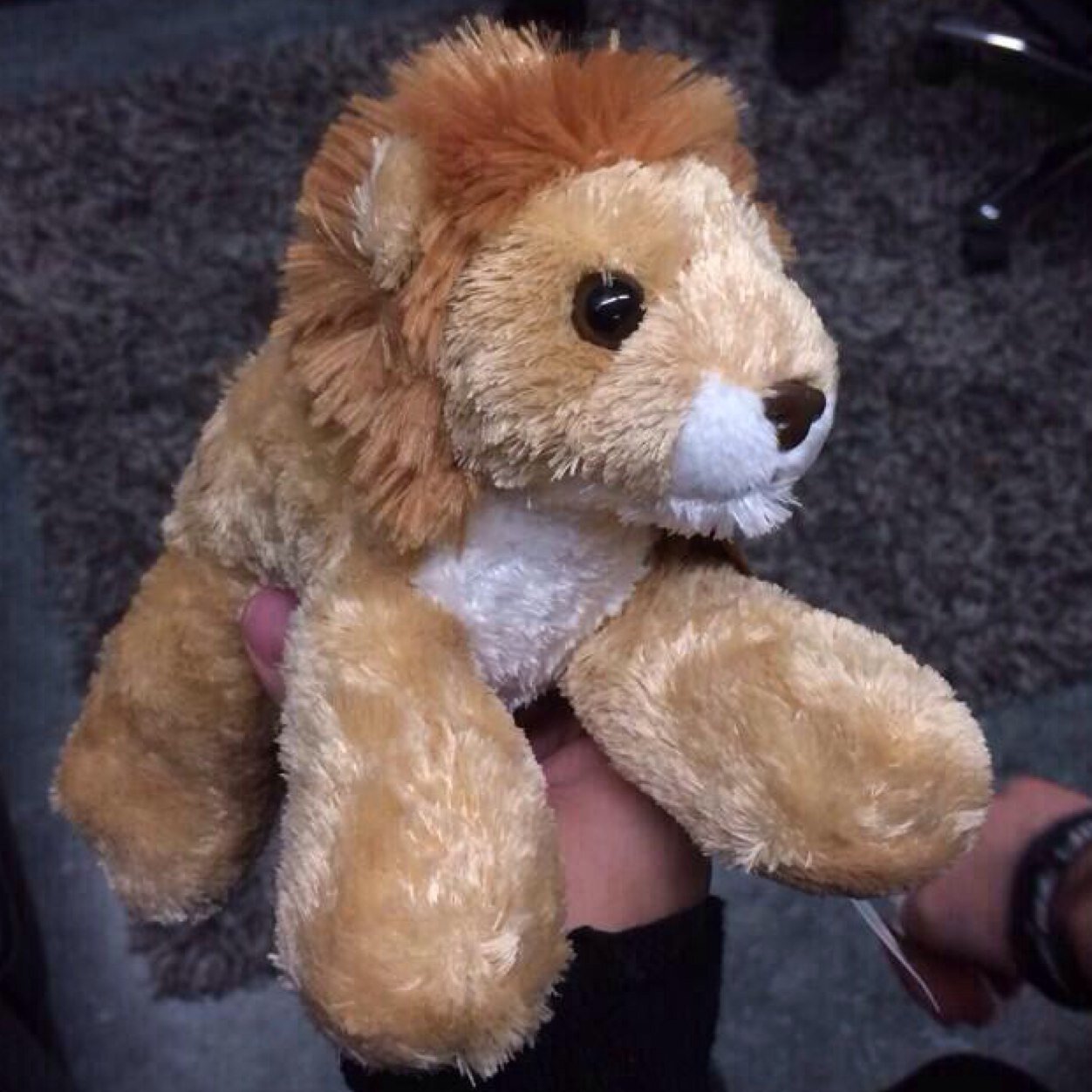 if you like michael, i probably like him more.