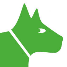 dogpublic's profile picture. Info on Dogs, dog training, dog parks and raising your puppy