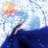 hyshoo's profile image