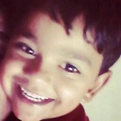 guiguidovalle's profile picture. Eu sou Beta.