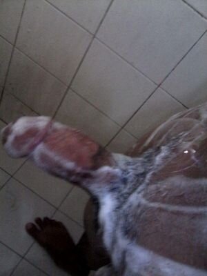 laki laki butuh kehangatan sex bandung