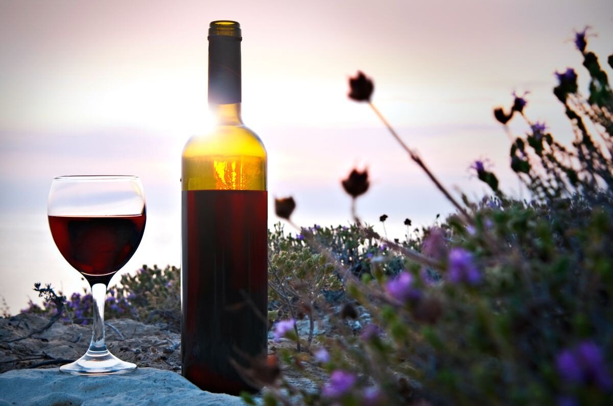 Fluid prose ... fueled by the red & occasionally the white! #wine #TRAVEL #cleanfood #write #read #hike #francais #sweetrides #fly