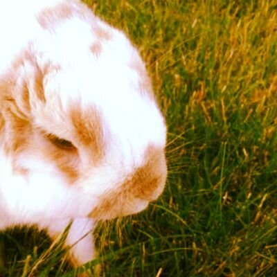 f2f6e395d4c34df's profile picture. hi hi