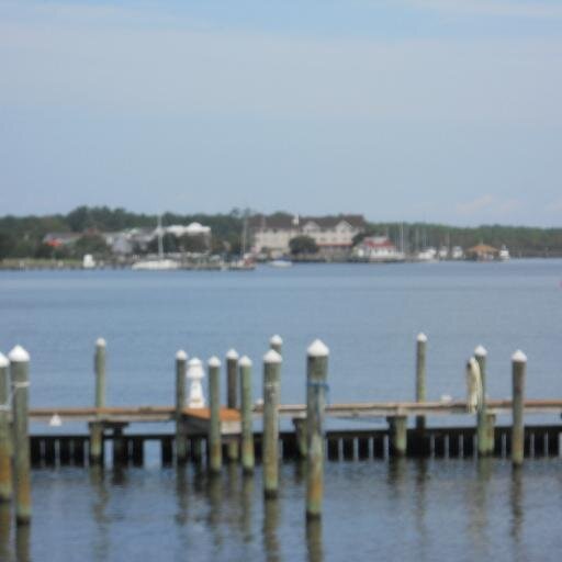 sandy4706's profile picture. Grandma; Braves fan; Cowboy fan; retired teacher