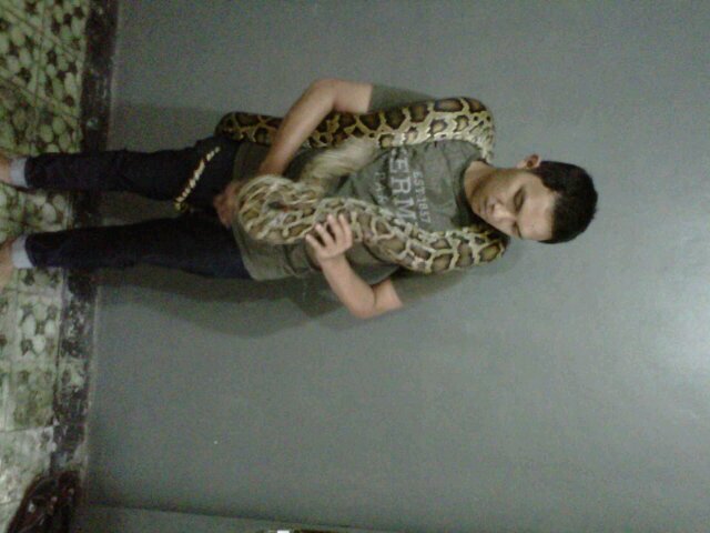 Panin bank KCU SEMARANG.Pin 3228c255