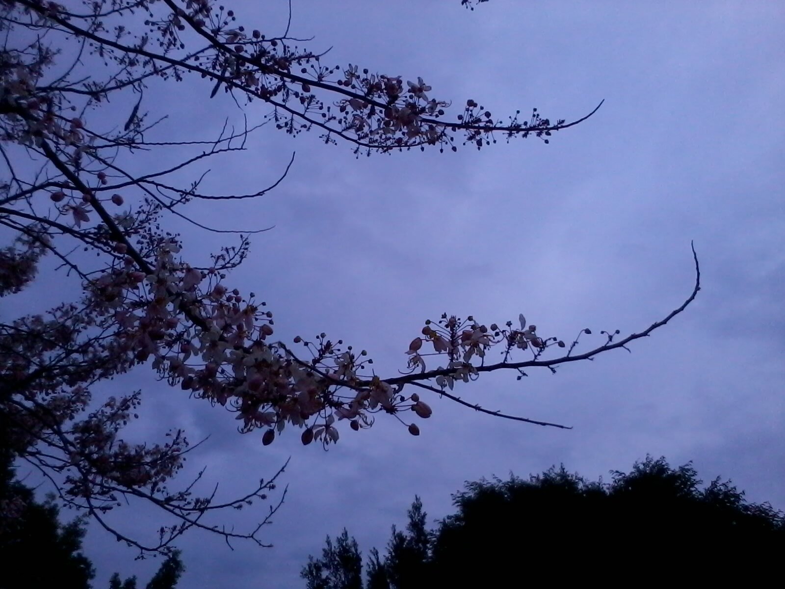 aita_FA's profile picture. จะดูแลตัวเองให้ดี และอยู่รอดูวันที่ประชาชนเป็นใหญ่ในแผ่นดิน