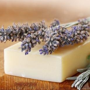 Added_Touch's profile picture. 