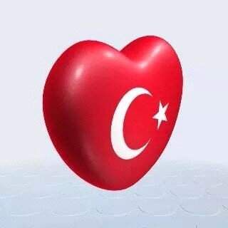 38Oguzhandogan's profile picture. 