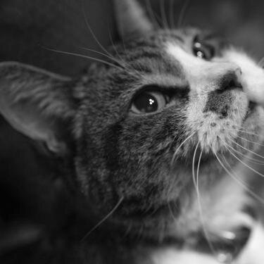 brad0m's profile picture. ふふふーん。