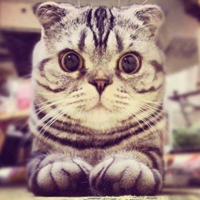 Nurizyaninani's profile picture. 